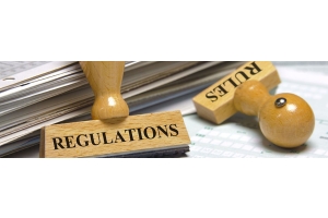 zip line regulations