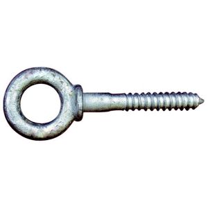 Shoulder Eye Screw Lag4