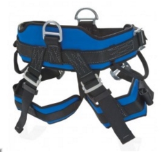 Rescue_Harness